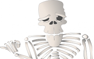 Anatomia - połączenia kości